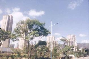 私家花园爆料视频,独家爆料带你领略隐秘奢华生活