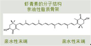 白术机制爆料最新进展,揭秘中药新功效 第2张 白术机制爆料最新进展,揭秘中药新功效 第2张