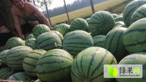 西安最新吃瓜爆料事件,揭秘神秘事件背后的真相 第2张 西安最新吃瓜爆料事件,揭秘神秘事件背后的真相 第2张