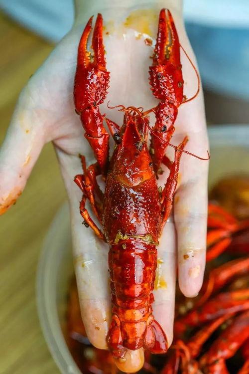 小龙虾爆料视频,行业背后惊人真相 第2张 小龙虾爆料视频,行业背后惊人真相 第2张