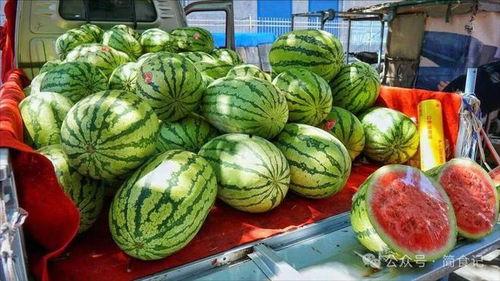 潮汕网红吃瓜事件真相揭秘,揭秘背后真相与争议  第3张