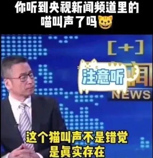 央视新闻背后的爆料视频,独家爆料带你走进真实新闻制作现场 第2张 央视新闻背后的爆料视频,独家爆料带你走进真实新闻制作现场 第2张
